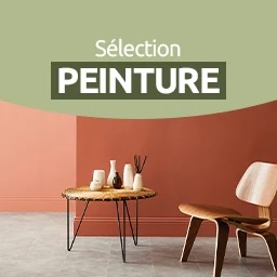 Sélection peinture